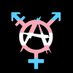 Trans Revolutionary Anarchist 🔥🏛🏴 (@TRAExecutive) Twitter profile photo