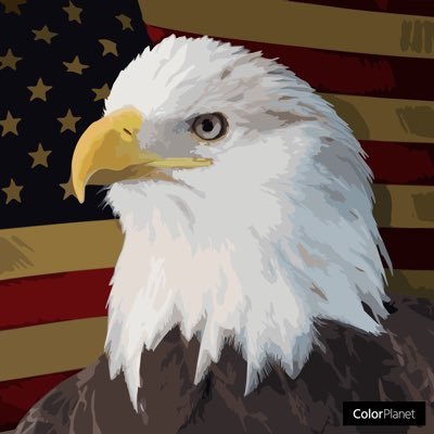 uswholesale's profile picture. retired former law enforcement officer, U.S. Army veteran, huge #OP nation fan.