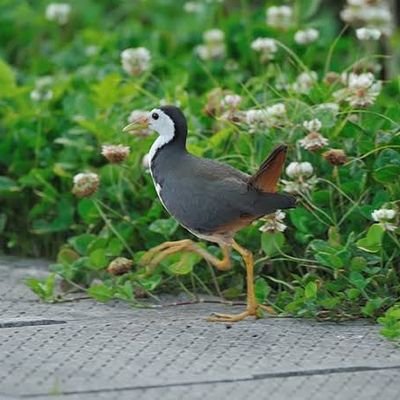 感染対策で離島に避難中🌴🌺
ミクチャ公認ライバー歴半年!配信ほぼしてないから2月からガチ配信🥺
趣味は読書と川柳と家族旅行と旅レポや美容!無料ライブ配信アプリミクチャ @mixchan
https://t.co/XoLqmgozgK
年の差婚💒
変な垢は即ブロ解だしフォロワー増やしたくないタイプ🥳
