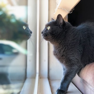 dreamsofnyssa's profile picture. Forever a fan of the 12-inch remix