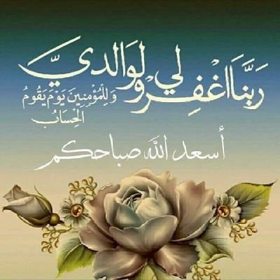 uy8jhneG3R8xv0q's profile picture. ‏شخص يحافظ على أموره الدينيه بالاول