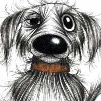 Sandy (@sparkleirish) 's Twitter Profile
