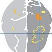 Neuroscience Ireland (@neuroscienceirl) 's Twitter Profile Photo Neuroscience Ireland (@neuroscienceirl) 's Twitter Profile Photo