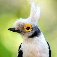 Prof. Elon_Lab-zertifizierte Desinformation ⭐️⭐️⭐️ (@elon49943563) 's Twitter Profile