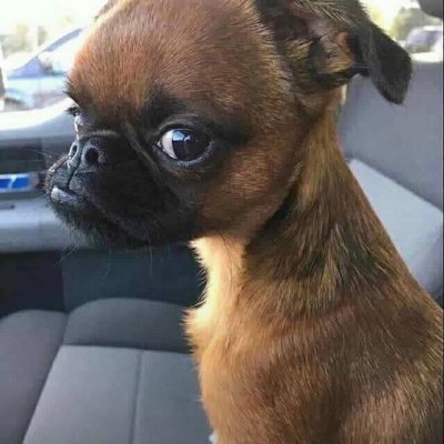 UnionForChange's profile picture. Context