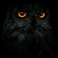 kayseri sikici jigolo (@arayanheycan) Twitter profile photo