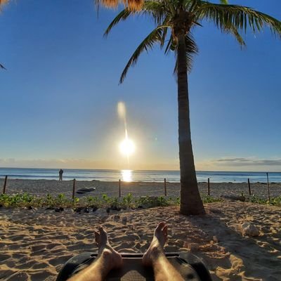 M_Joly44's profile picture. Sports, politics