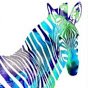 Robbe Profile