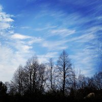 SM (@shenazm) 's Twitter Profile