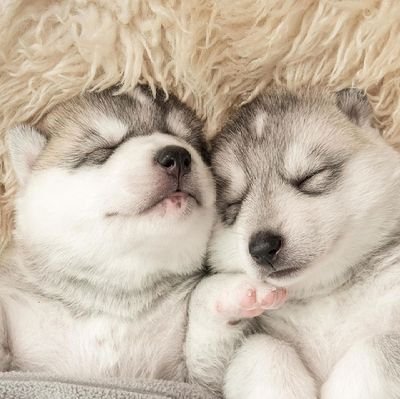 Tina57853672's profile picture. Life