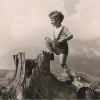 david g. vita (@davidgvita) 's Twitter Profile