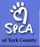 Our mission is to find a loving family for every homeless pet in York County, PA.