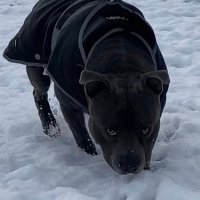 Lee Riley (@leeriley75) 's Twitter Profile