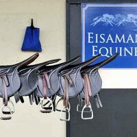 Eisaman Equine (@eisamanequine) 's Twitter Profile Photo Eisaman Equine (@eisamanequine) 's Twitter Profile Photo