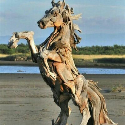 toada98's profile picture. Si Tou Timou Tumou Tou : Manusia dilahirkan untuk memanusiakan orang lain