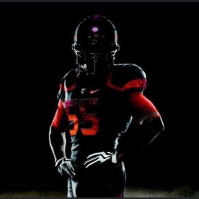 RduSkyhawks's profile picture. The Official Twitter of The RDU Community Christian Athletics Skyhawks Football