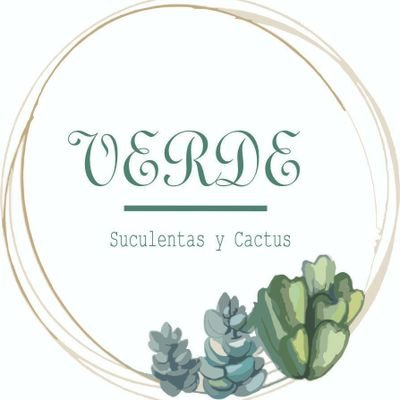 Tenemos una gran pasión y admiración por las plantas suculentas,cactus y más!