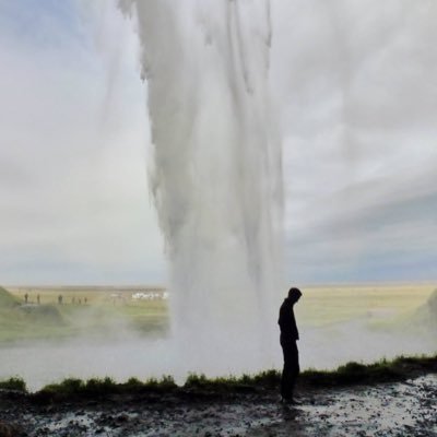 dmgarrigle's profile picture. streamer @sonymusicire + noodle obsessive