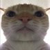 Aaron (@aaron31f) Twitter profile photo Aaron (@aaron31f) Twitter profile photo