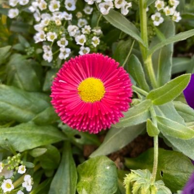 zd_sea_ads's profile picture. this a test account for ads