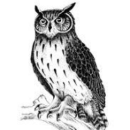 JOISVASA's profile picture. Licenciado en derecho, Artesano, ,Casado.