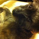 Nick Heidfeld - @nh_renault - Twitter