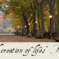 The Fondest (@thefondest) 's Twitter Profile