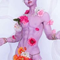 @ (@docedanoninho) 's Twitter Profile