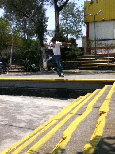 mau_sheckler's profile picture. 