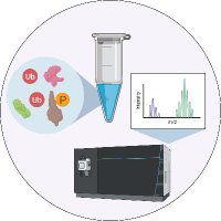 Ordureau_Lab (@ordureau_lab) 's Twitter Profile Photo Ordureau_Lab (@ordureau_lab) 's Twitter Profile Photo