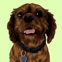 Vector Pet (@vector_pet) 's Twitter Profile