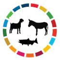 The Animal Welfare Action Network for the Global Agenda for Sustainable Livestock