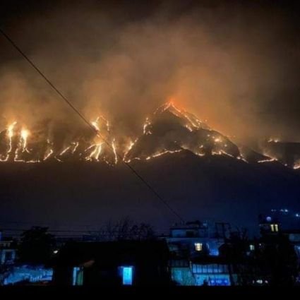 We document #forestfires in the Himalayas - Kashmir, Himachal, Uttarakhand, Nepal, Darjeeling and NE India. Send us videos/ photos/ news clips from your region