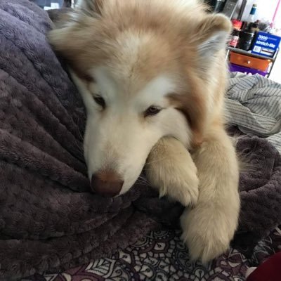 Hello. I'm here to learn more about everything. I love finding loopholes and ways to improve systems/processes.