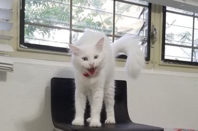 rjrrpe's profile picture. 