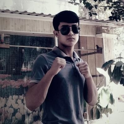 UFC