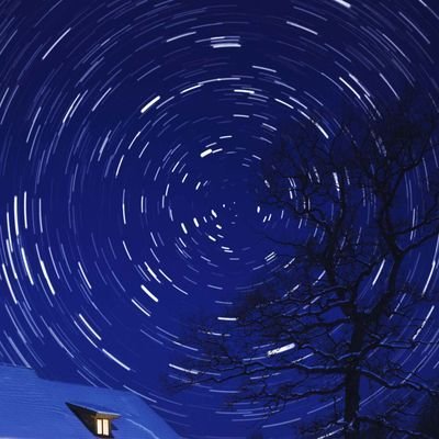 SwimNT's profile picture. 