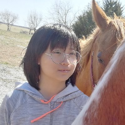 Master's student in Computational Applied Math @stonybrooku | former Technical Associate @edmundlalor @UofRBME @URNeuroscience | violinist