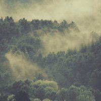 mann. (@mannmannhere) 's Twitter Profile