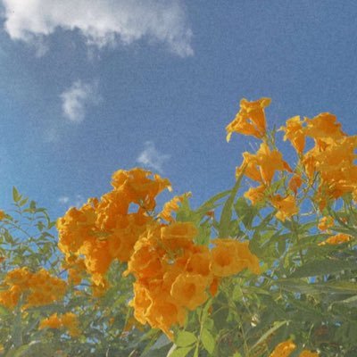 أليست أمورك بين يدي الله :فليطمئن قلبِك ❤️