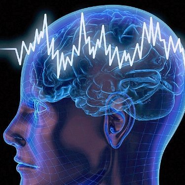 UXlab_iitd's profile picture. User experience lab at IIT Delhi