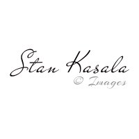 Stan Kasala(@KasalaImages) 's Twitter Profile Photo