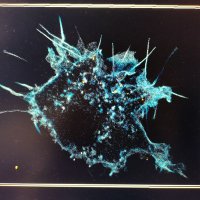 Adrien M (@micro_adrien) 's Twitter Profile Photo Adrien M (@micro_adrien) 's Twitter Profile Photo