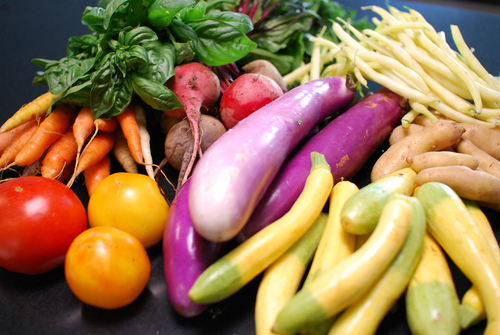 Want the best of food from Tech Valley? FOLLOW US!
