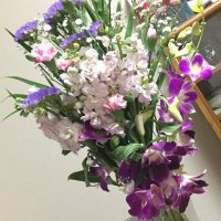 やしま@ (@pwzqebixdlkpd8v) 's Twitter Profile