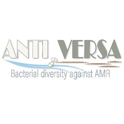 ANTIVERSA is an international research project & part of @BiodivERsA3.
We test if bacterial diversity can serve as a barrier to #AMR spread.