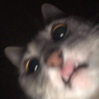 morriganex's profile picture. yes