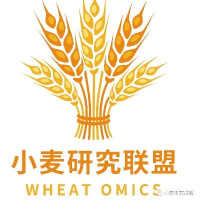 Shengwei Ma from IDGB. wheat genetics and genomics