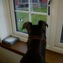 kenneth penfold - @KennethPenfold - Twitter