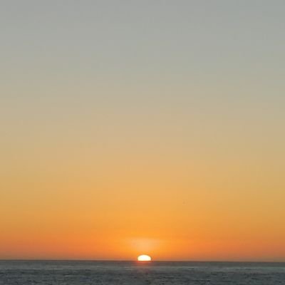 mcorvala's profile picture. 